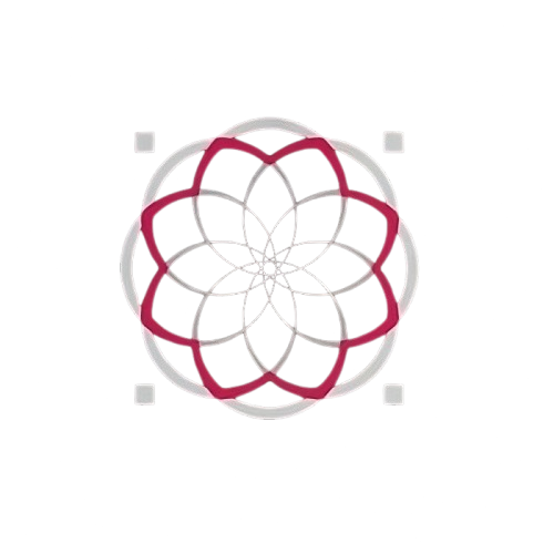 الشبكة_العربية_للمنظمات_غير_الحكوم00ية